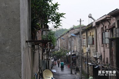 非手機拍攝，僅供觀賞
