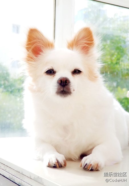 QF3相機專業(yè)模式拍照