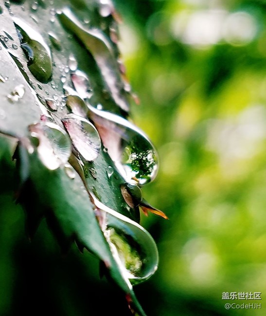 QF3相機專業(yè)模式拍照