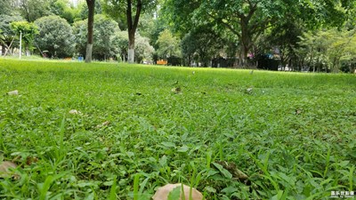 【蓋樂(lè)世社區(qū)2周年-微距  】 + 綠色