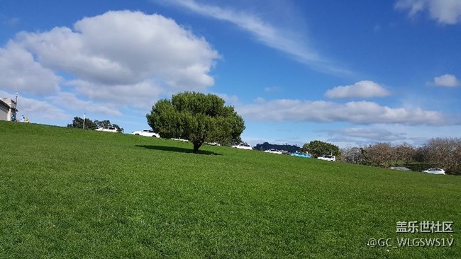 分享下大E在新西蘭拍的照片