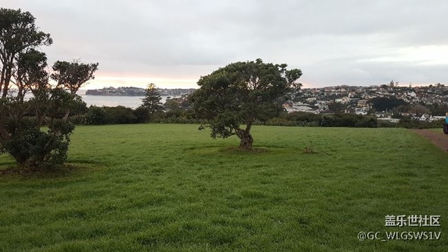 分享下大E在新西蘭拍的照片