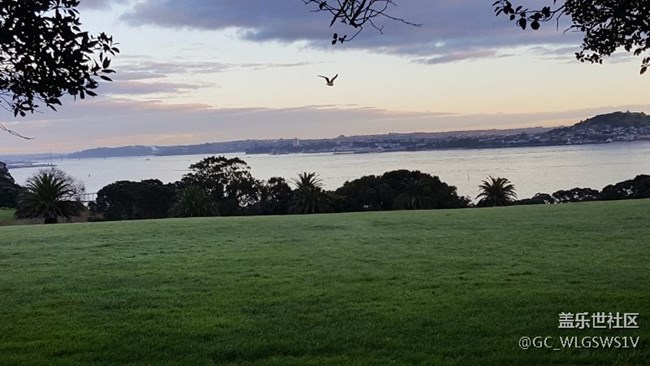 分享下大E在新西蘭拍的照片