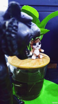 【蓋樂世社區(qū)2周年-靜  】靜心之作