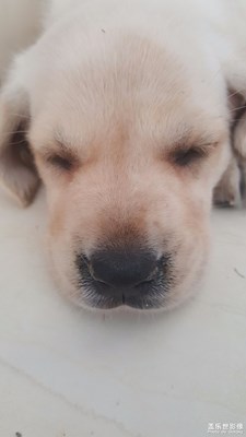 【蓋樂(lè)世社區(qū)2周年-靜  】 +安靜就是清涼