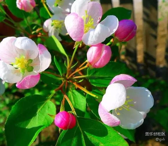 可以深交的朋友！