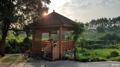 【蓋樂(lè)世社區(qū)2周年-靜  】+清晨