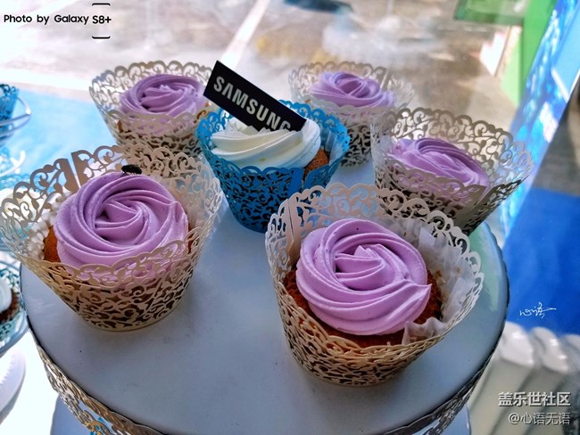 高社長哈爾濱粉絲座談會花絮