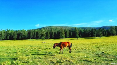 天山腳下，幽美牧場