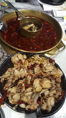 《上帝之眼》+吃貨的世界