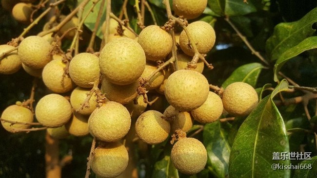 問下有那些S8的APP可以直接在NOTE5上安裝？