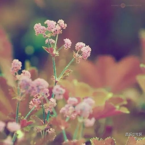 人字有兩筆:一筆前半生，一筆后半生！