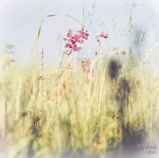 人字有兩筆:一筆前半生，一筆后半生！