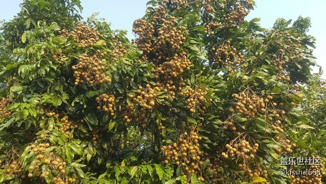 問(wèn)下有那些S8的APP可以直接在NOTE5上安裝？