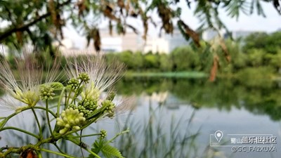 公司和這個城市