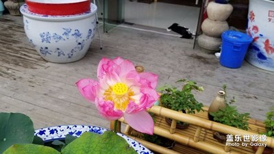 隨拍