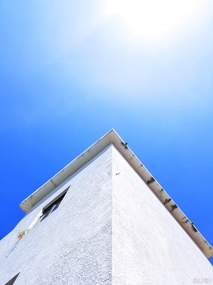 夏日中那一抹藍(lán)