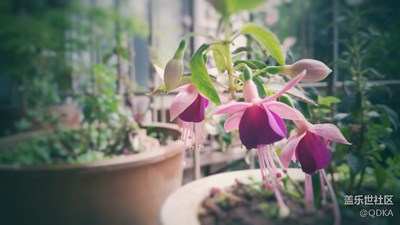 朝花夕拾02，03