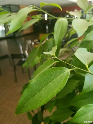 工作環(huán)境隨手拍