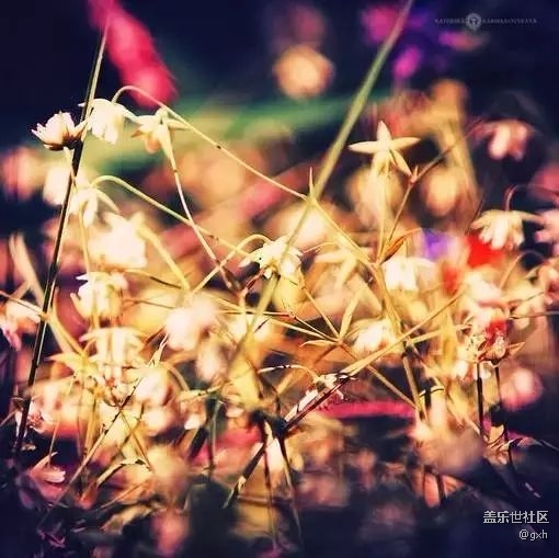 幽默短文   口誤！