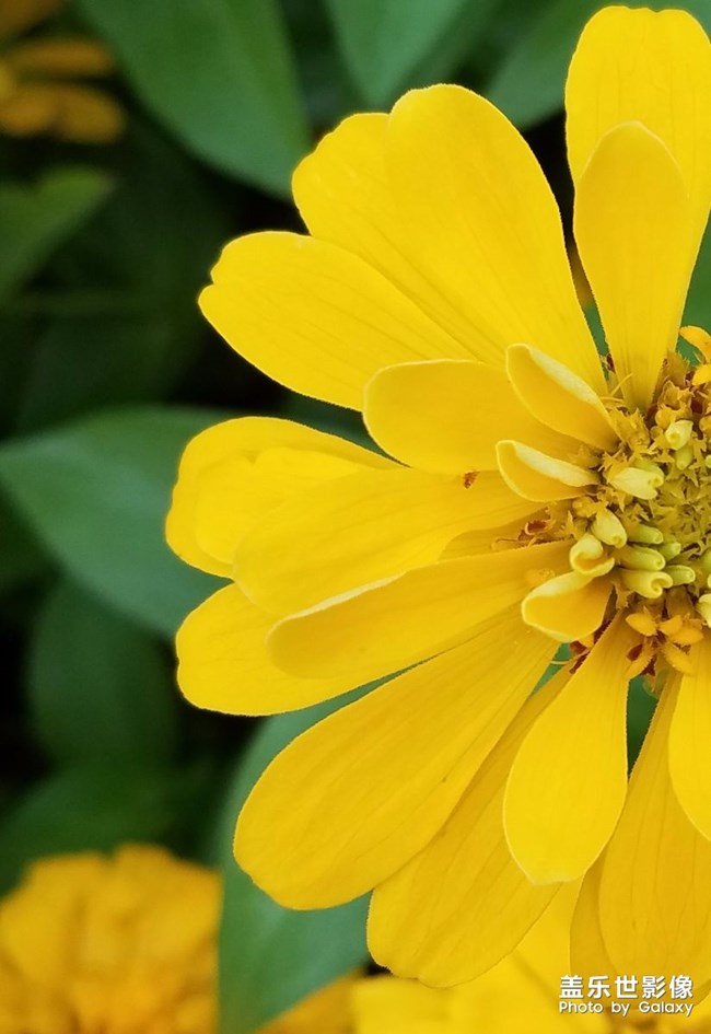 每周精帖匯【第67期：三星電子大中華區(qū)總裁竟然在賣手機(jī)！】