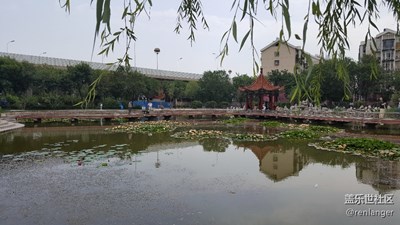 童年的回憶，小學(xué)附近的花園