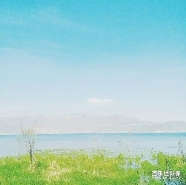 我喜歡這段話！