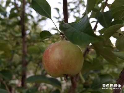 勝過(guò)雙攝效果