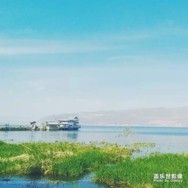 我喜歡這段話！