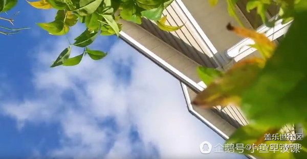 三星手機從飛機墜下，落地后完好無損，火了