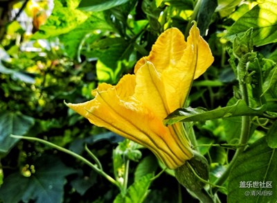 一路順風(fēng)的S8