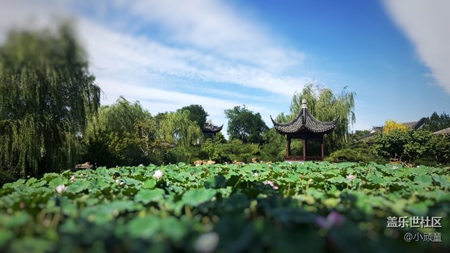 NOTE5拍照真的不行了嗎？