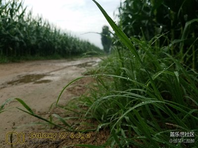 走在鄉(xiāng)間的小路上