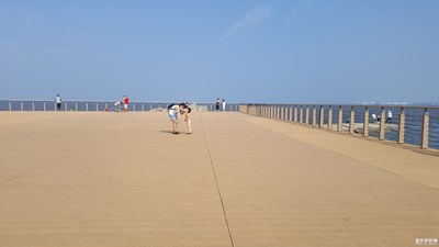 抓拍--亮點自尋