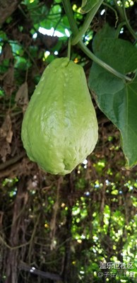 這個(gè)拍照功能還沒研究明白