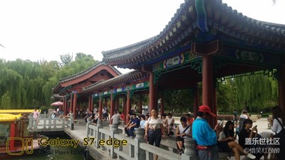 《致愛(ài)七夕》+大明湖畔