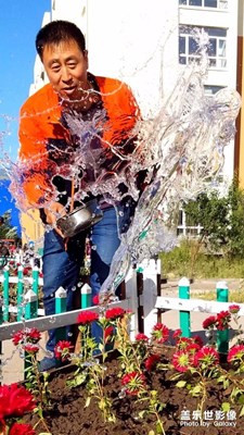 小區(qū)花園綠地工人