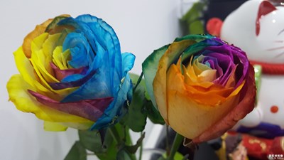 《致愛七夕》+玫瑰玫瑰我愛你