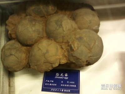 昨天看社區(qū)活動(dòng)有個(gè)博物館的，當(dāng)年的博物館照來(lái)一波