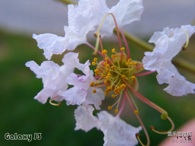 圖說三星Ga;axy J3