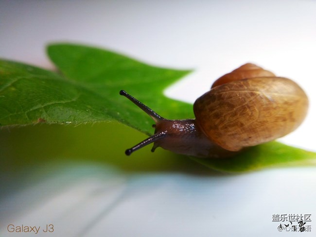 圖說三星Ga;axy J3