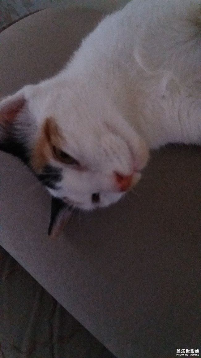 我家中發(fā)白