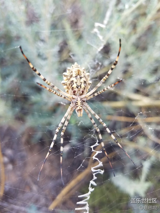 發(fā)現(xiàn)了嗎