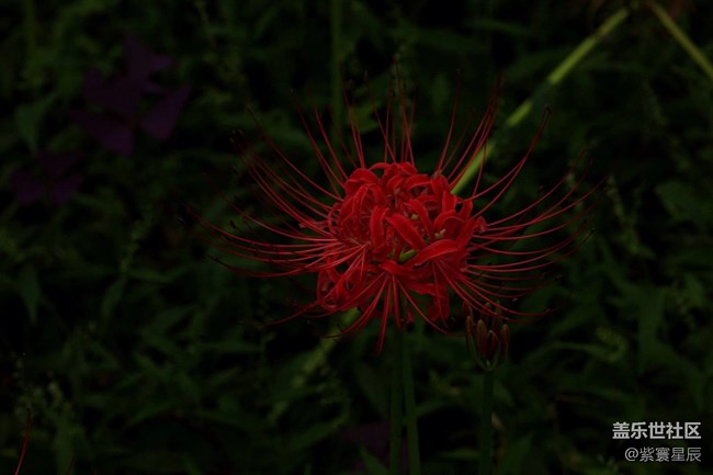 很久前拍的南京風(fēng)景