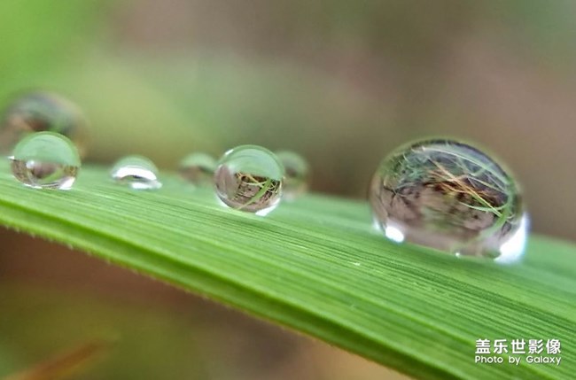 每周精帖匯【第70期:C8發(fā)布會嘻哈派對嗨爆全場】 每周精帖匯【第70期:C8發(fā)布會嘻哈派對嗨爆全場】