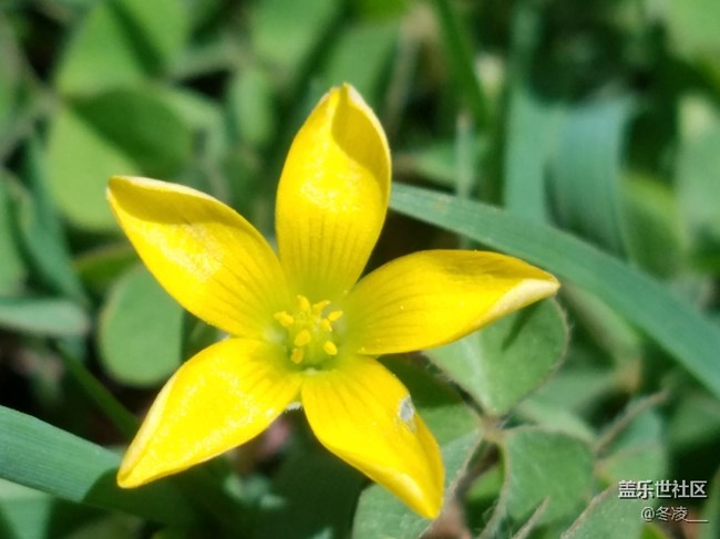 S8系列的是不是沒有超級微距模式了，以前S7是有的啊