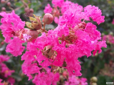 七、八點(diǎn)的陰天