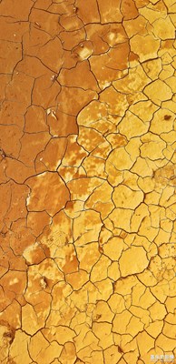 想要拍出一張可以做壁紙的圖，希望各位大神指點指點