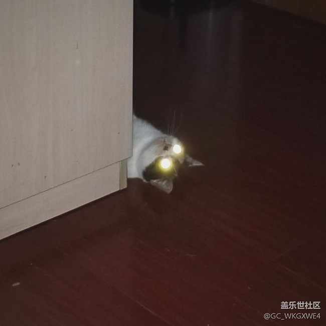 關(guān)于你們大家都想吃的奧利奧