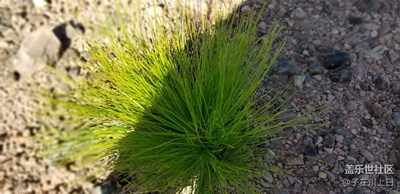 如果以后再也見不到你，祝你早安，午安，晚安……